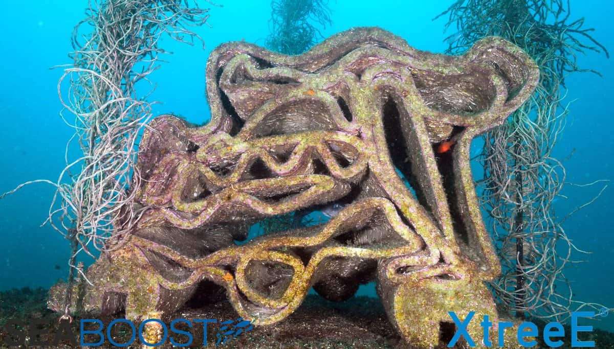 5 reefs in Monaco