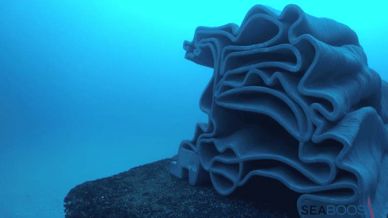 5 reefs in Monaco
