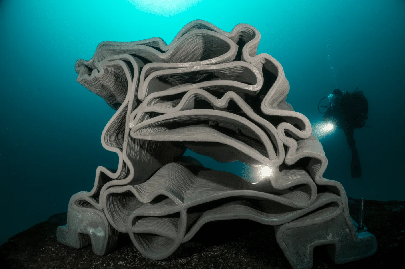 5 reefs in Monaco