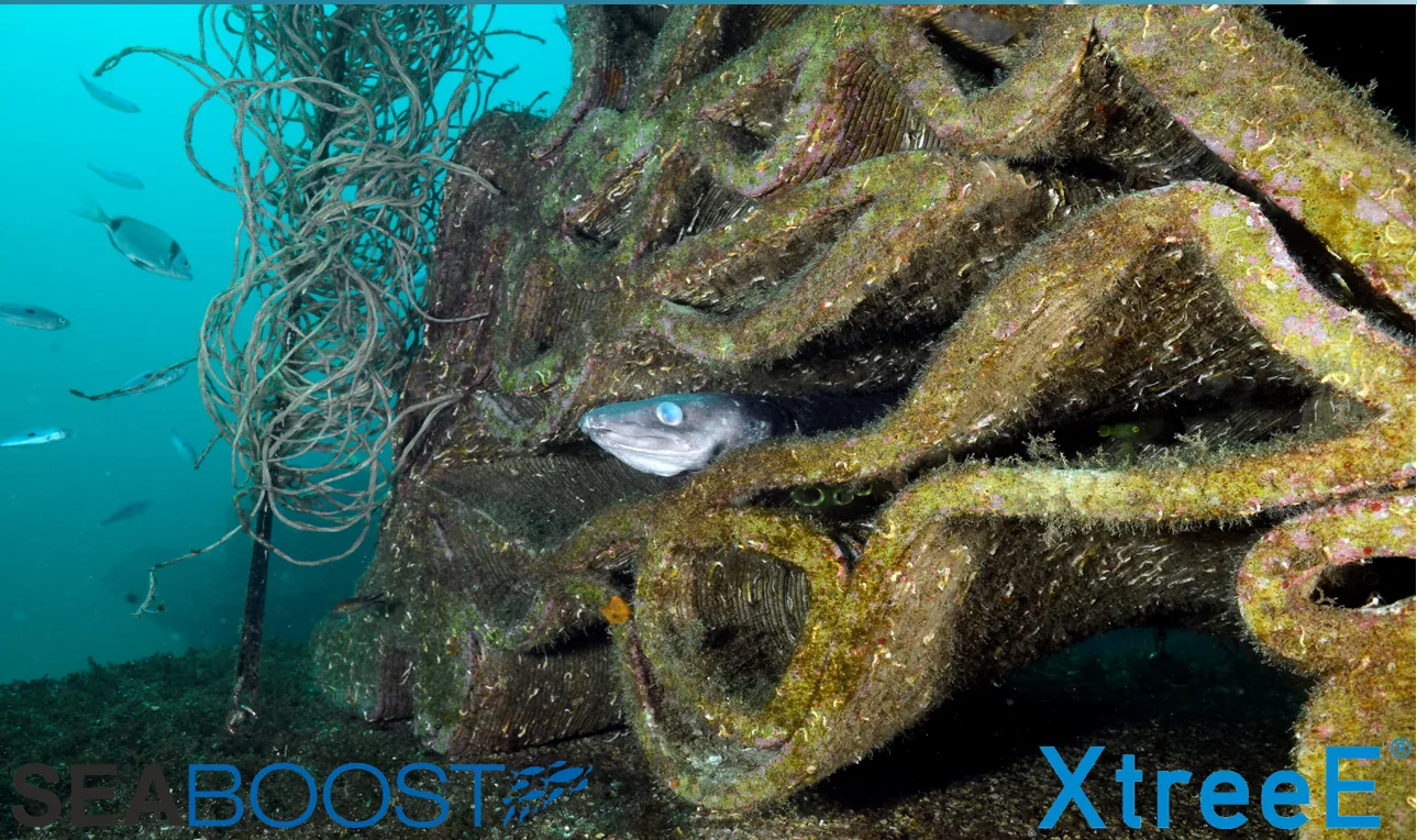 X-Reef, in the Calanques national park