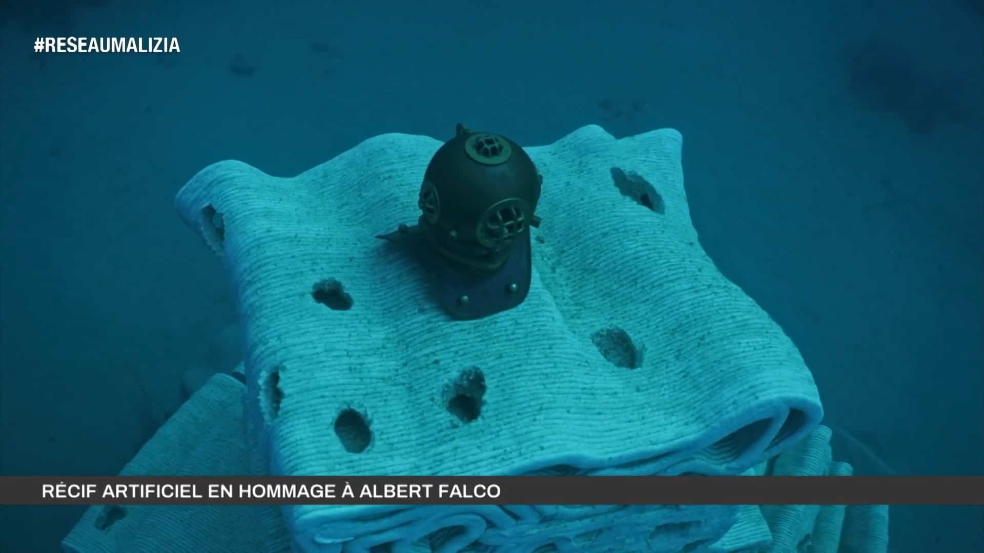 Artificial reef for prince Albert II