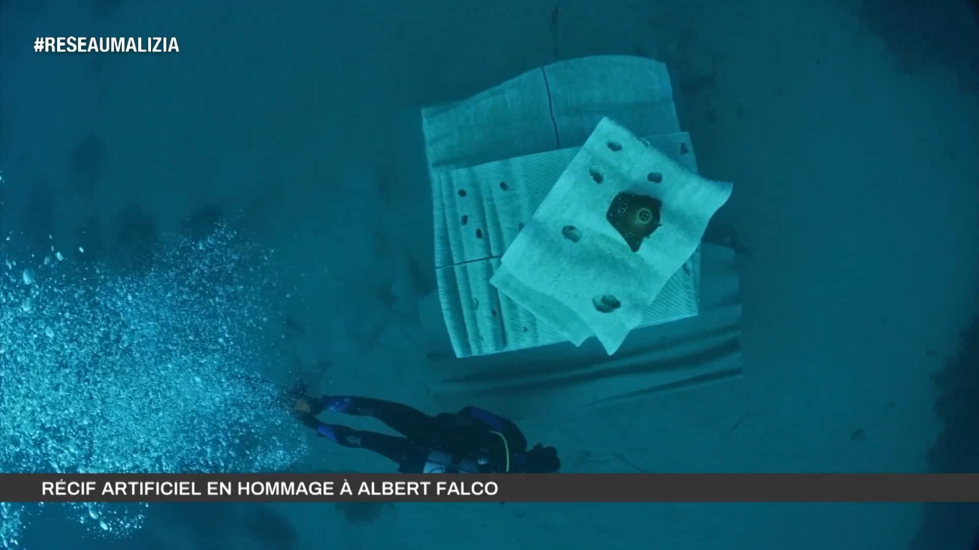 Artificial reef for prince Albert II