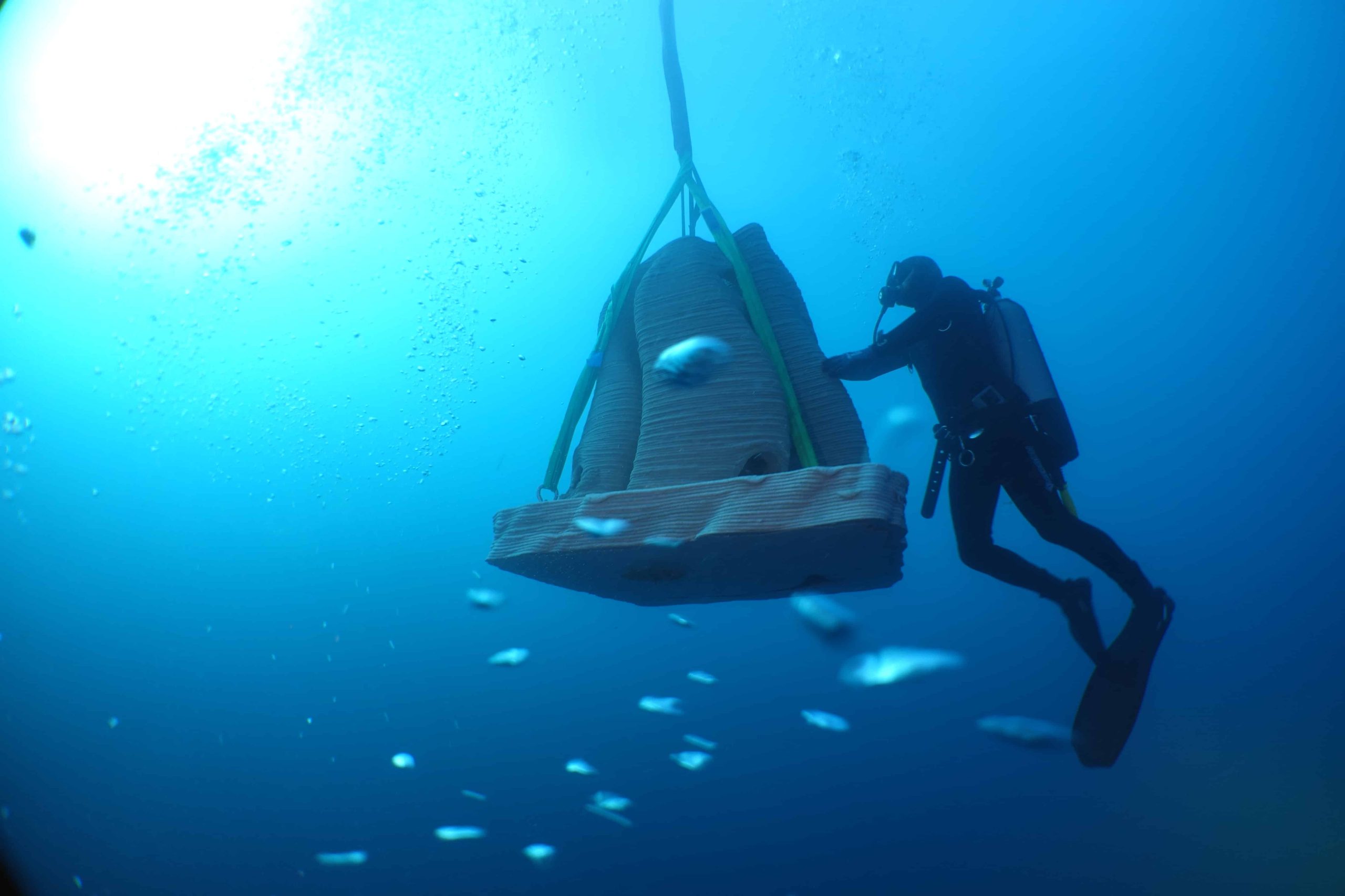 Artificial reef for prince Albert II