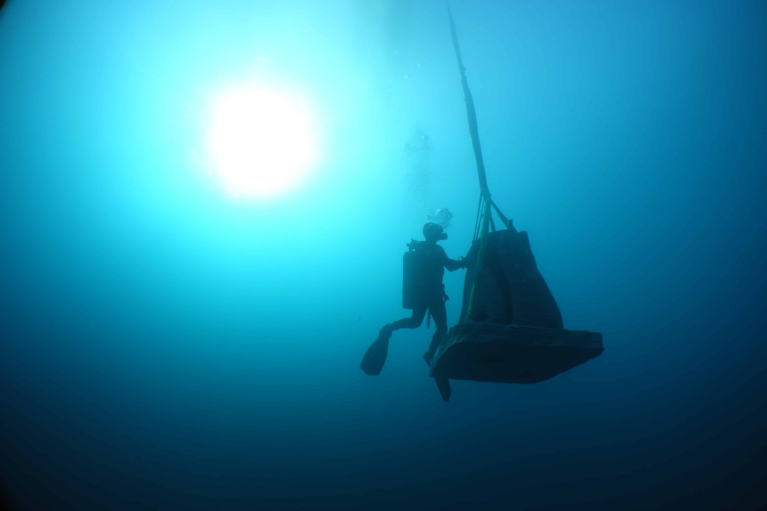 Artificial reef for prince Albert II