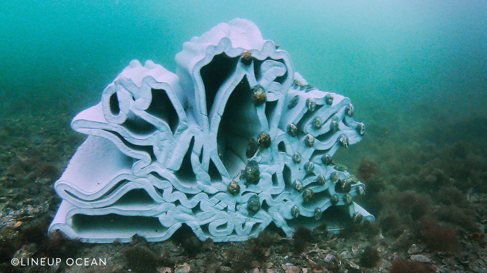 3D-printed concrete marine modules