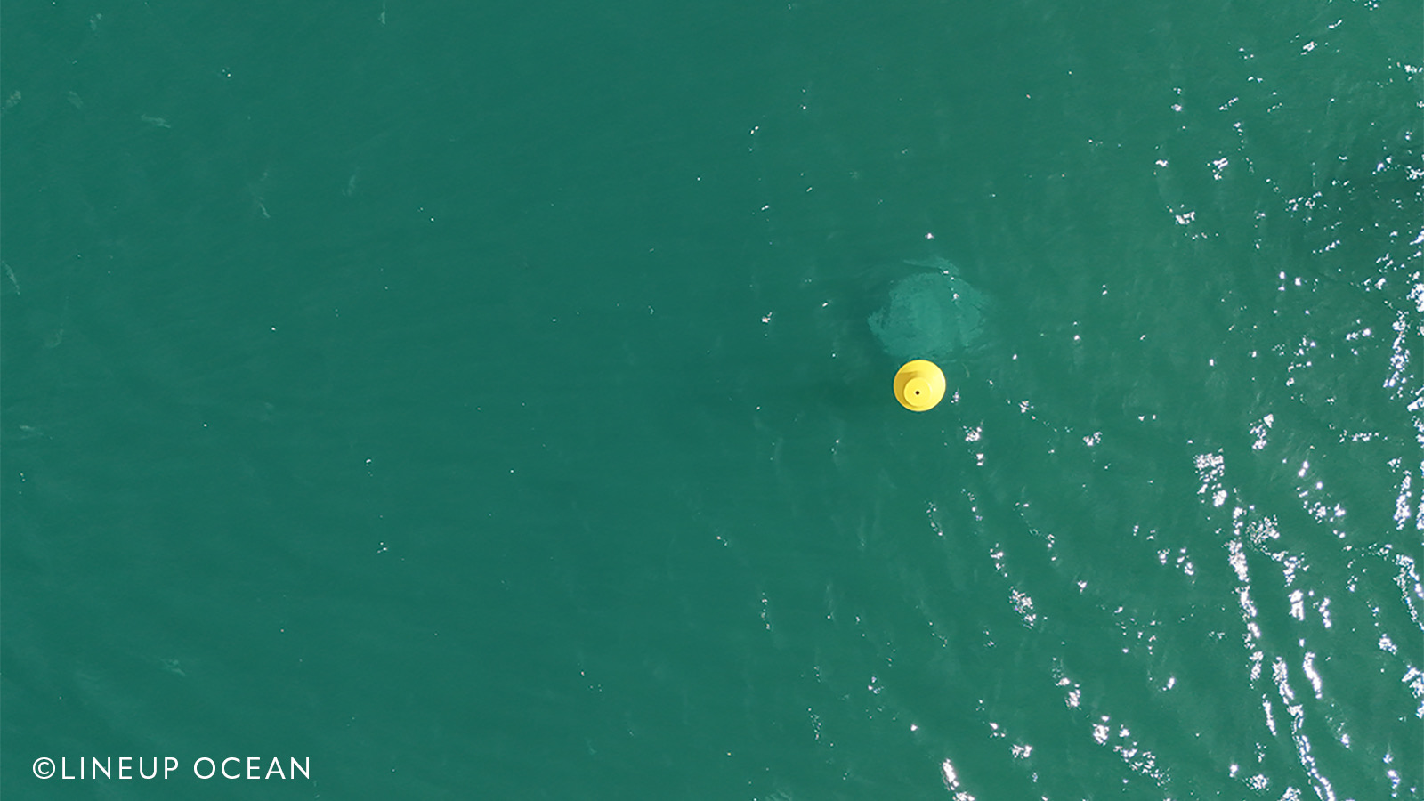 3D-printed concrete marine modules