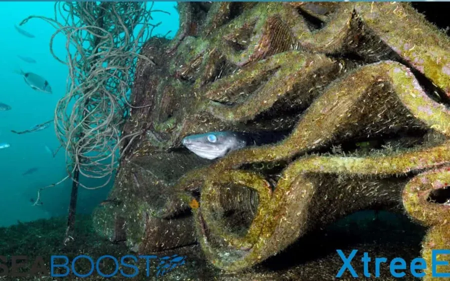 5 reefs in Monaco