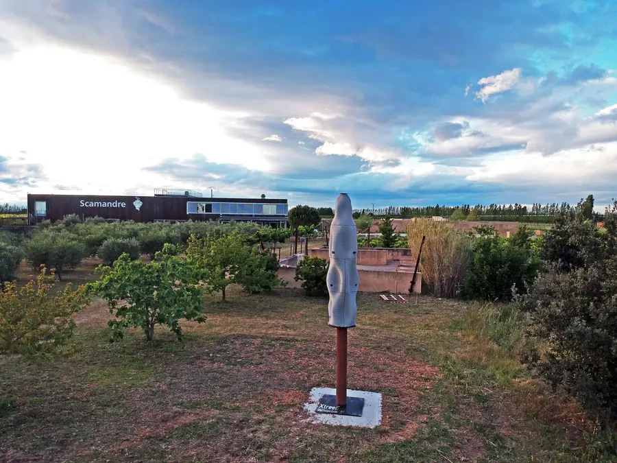 Biodiversity tree in Montpellier