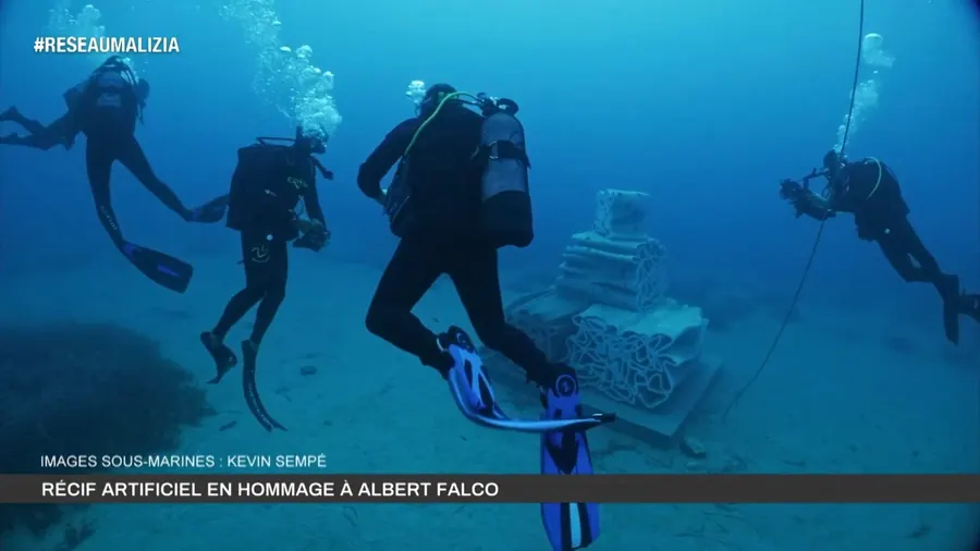 Artificial reef for prince Albert II